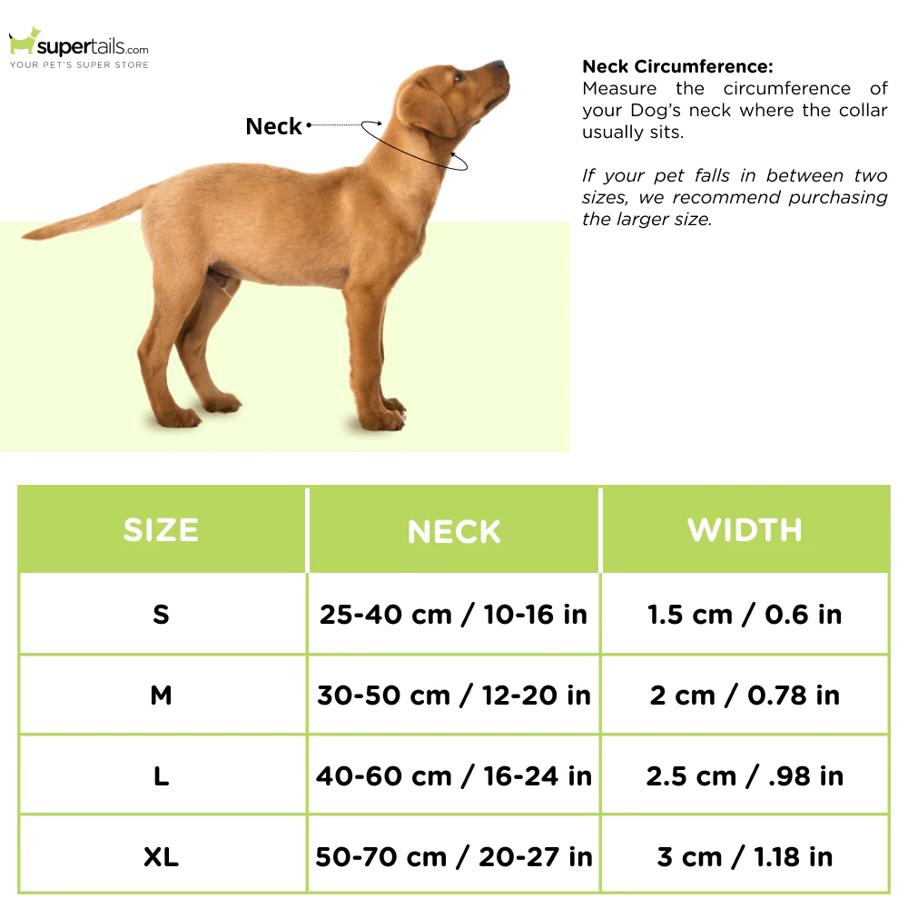 Basil Printed Collar for Dogs (Purple) - Runbopad