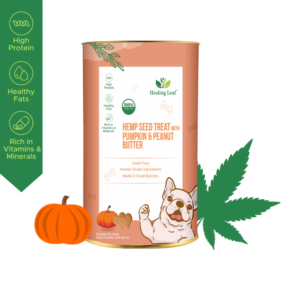 Healing Leaf Hemp Pumpkin Treats and Skatrs Treat Hider Toy Combo for Dogs - Runbopad