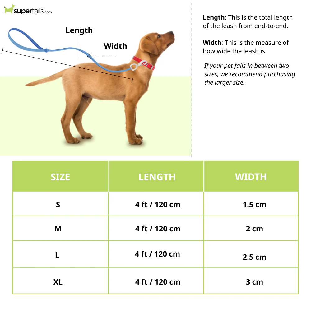 Basil Padded Leash for Dogs (Black/Gray) - Runbopad