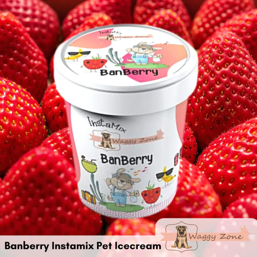 Waggy Zone Banberry Ice Cream for Pets - Runbopad
