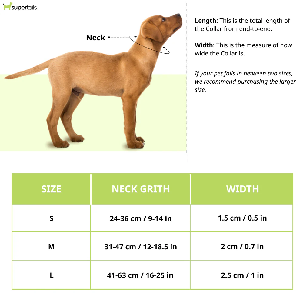 Warner Bros Batman Collar for Dogs and Cats - Runbopad