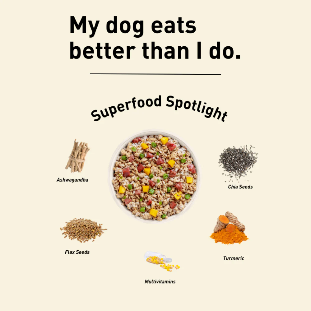 Homiee & Ginger Power Bowl Fish Fiesta Fresh Food for Dogs - Runbopad