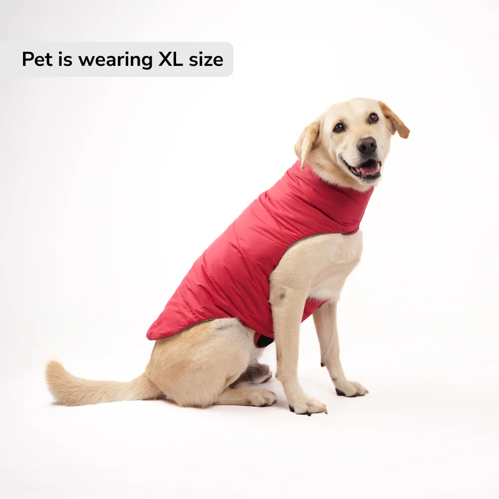 Skatrs Cherry Snuggle Puffer Reversible Jacket for Dogs and Cats - Runbopad