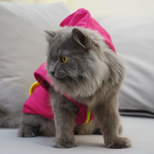 Skatrs Pop Breezy Hoodies with Pockets for Dogs and Cats (Pink) - Runbopad