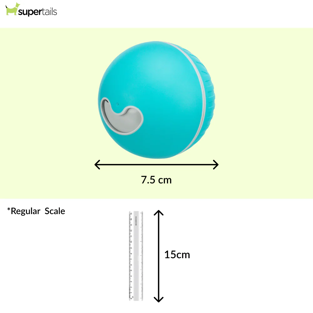 Trixie Plastic Snack Ball Treat Dispenser Toy for Dogs (Blue) - Runbopad