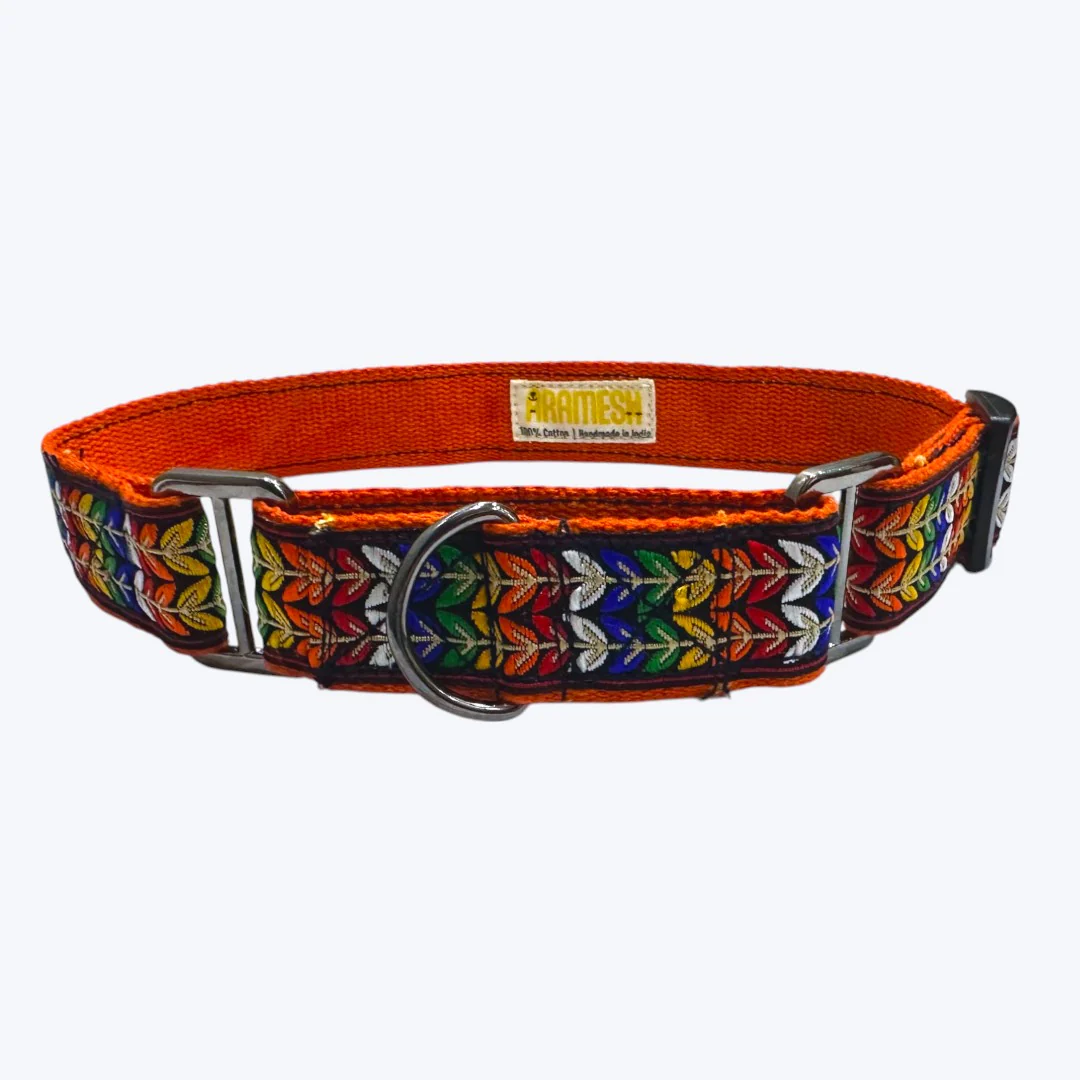 Aramesh Colourful Trails Martingale Collar for Dogs (Orange) - Runbopad