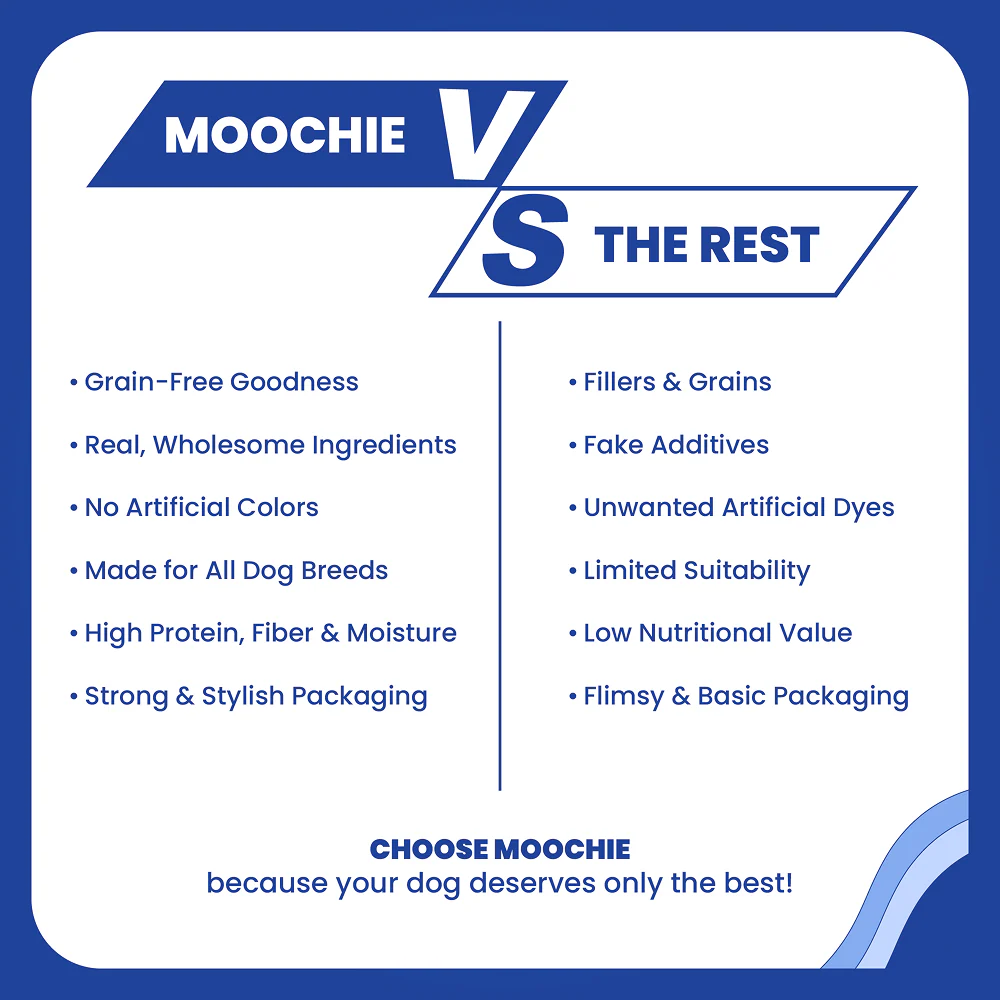 Moochie Beauty Skin and Coat Casserole with Salmon Gravy Adult Dog Wet Food - Runbopad