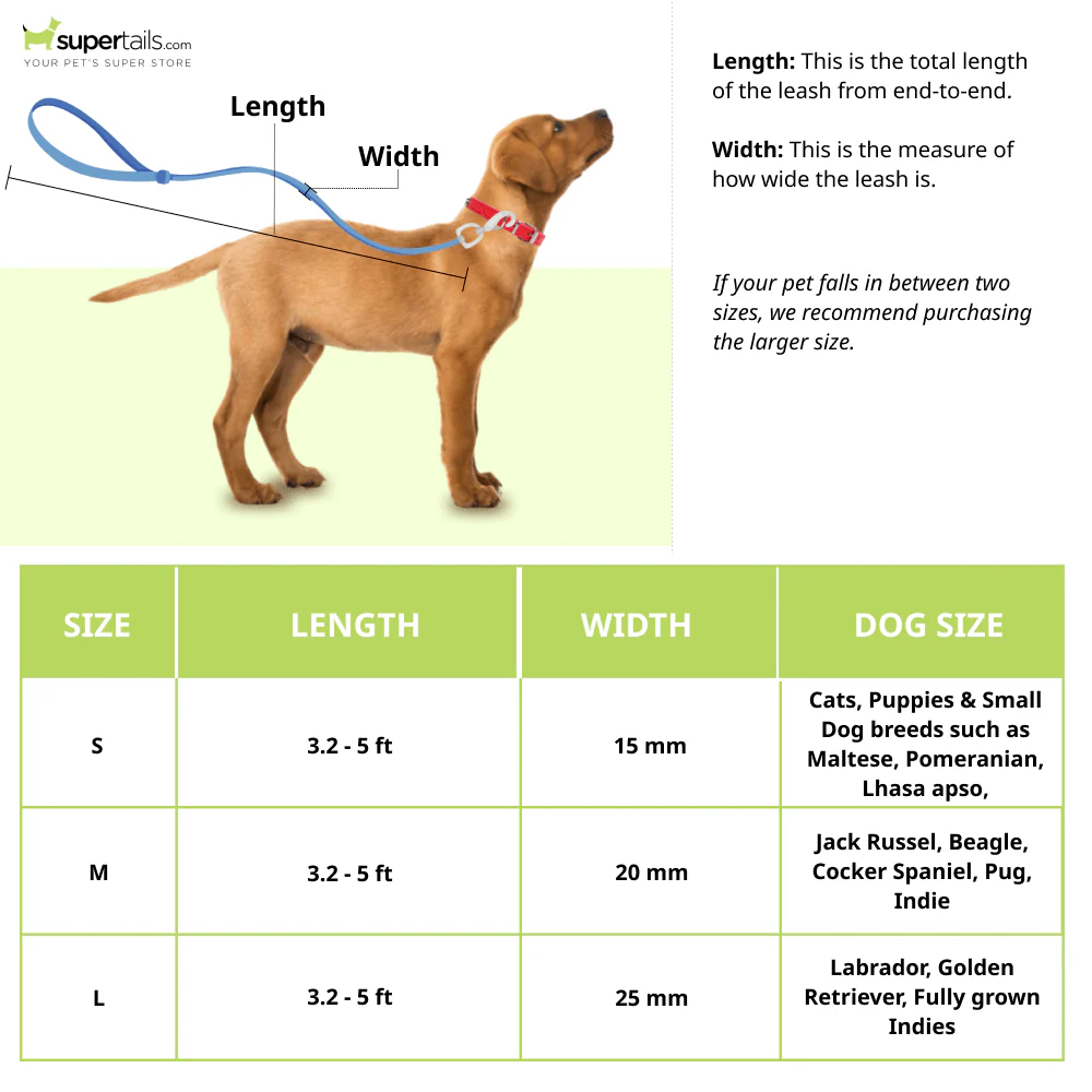 A Plus A Click & Lock Hook Tetris Design Leash for Dogs and Cats - Runbopad