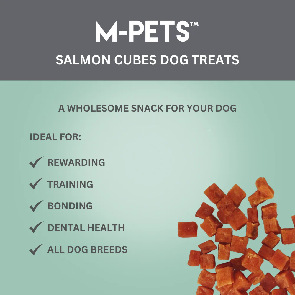 M PETS Salmon Cubes Treats for Dogs - Runbopad
