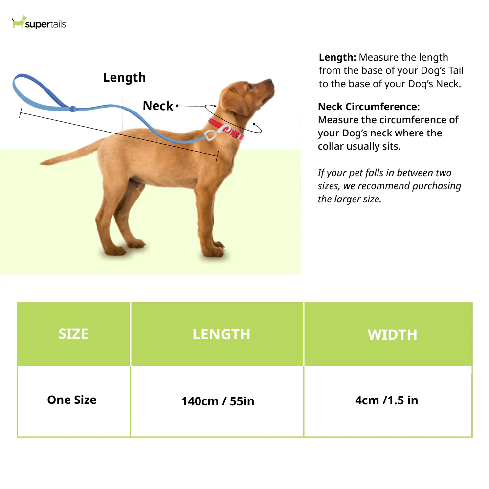 Aramesh Coastal Bloom Leash for Dogs (Pink and Navy Blue) - Runbopad