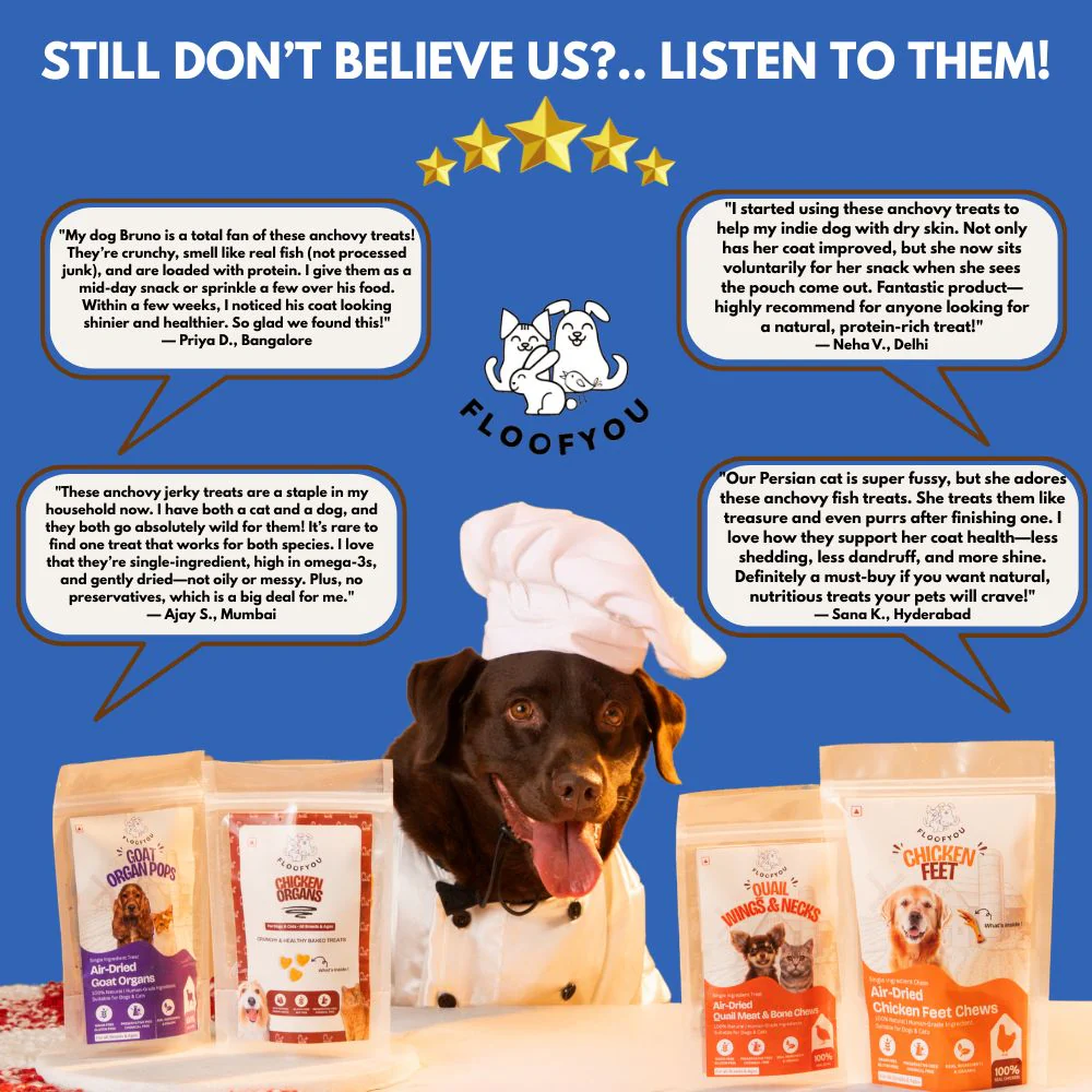 FloofYou Air Dried Whole Anchovy Fish Dog Treats - Runbopad