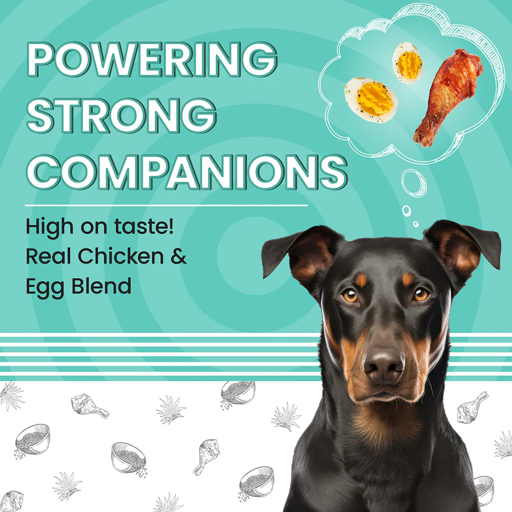 Bark Out Loud Essentials Real Chicken Medium and Large Breed Adult Dog Dry Food - Runbopad