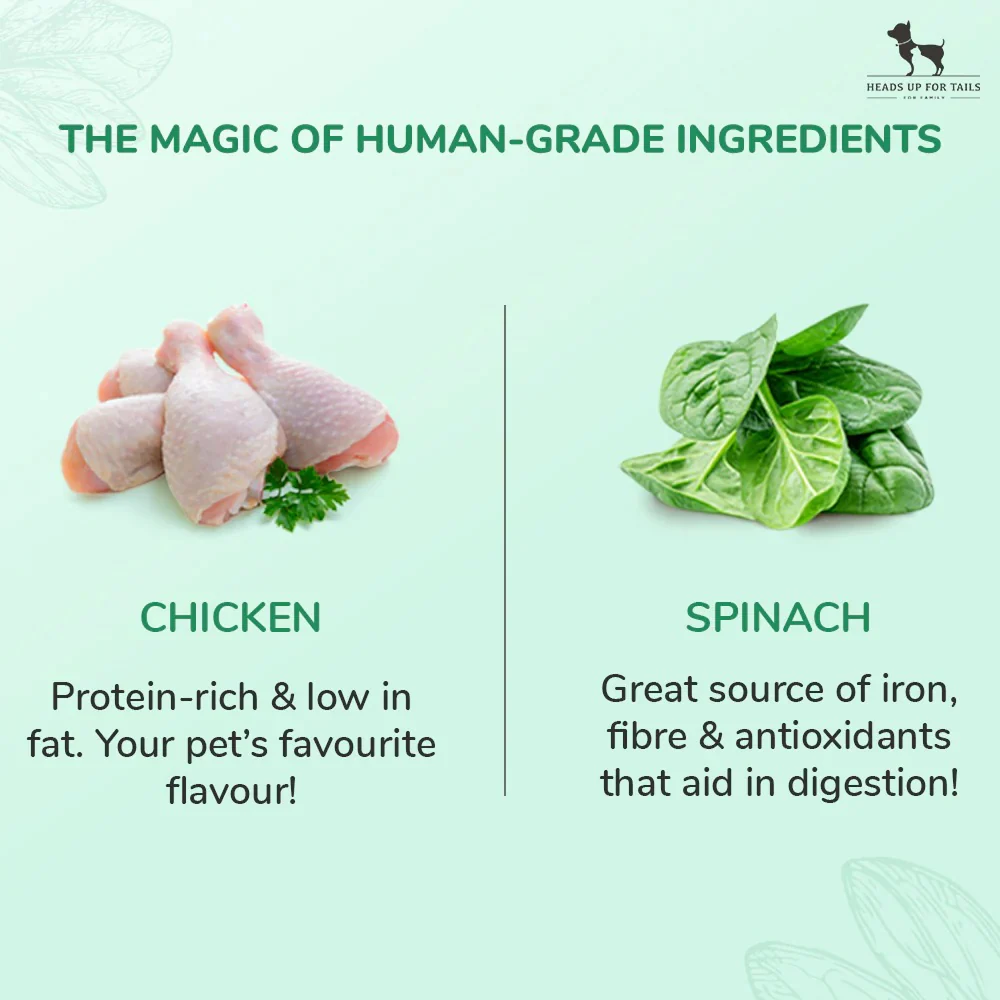 HUFT Sara's Doggie Grain Free Chicken with Spinach Jerky Dog Treats - Runbopad