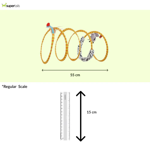 Barkbutler x Fofos Safari Spiral Tunnel Toy for Cats - Runbopad