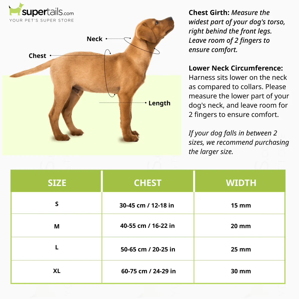 Basil Padded Adjustable Harness for Dogs (Purple/Blue) - Runbopad