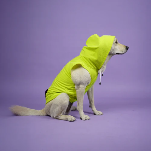 Skatrs Galaxy Breezy Hoodies with Pockets for Dogs and Cats (Green) - Runbopad