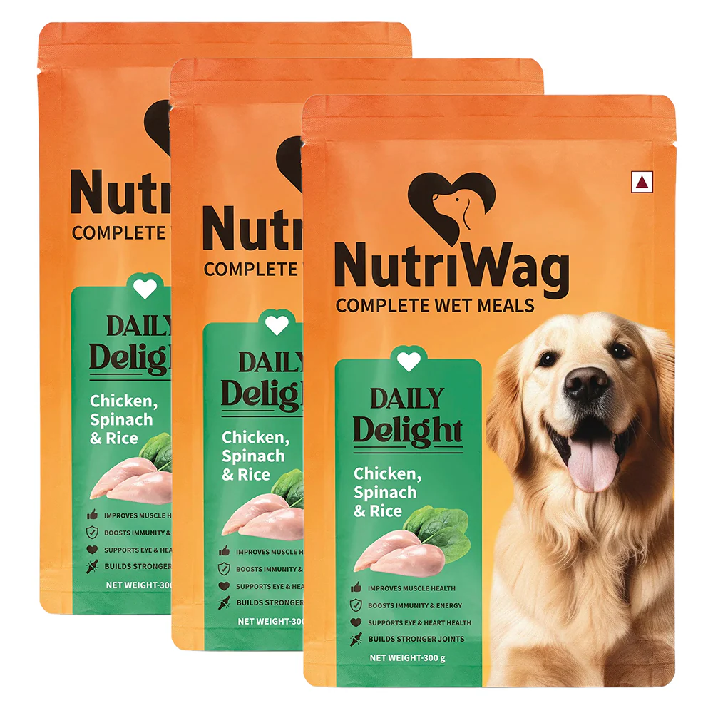 NutriWag Daily Delight Chicken, Spinach & Rice Dog Wet Food - Runbopad