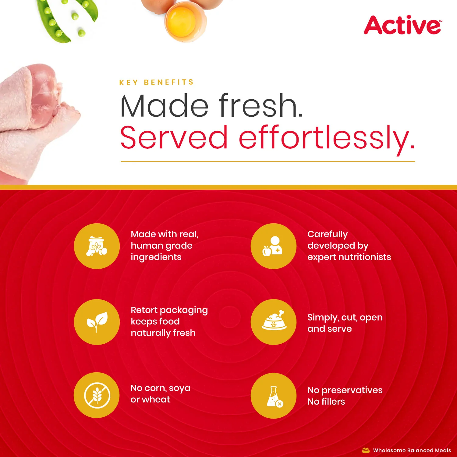 Active Chicken Biryani Fresh Food for Dogs (Buy 1 Get 1) - Runbopad