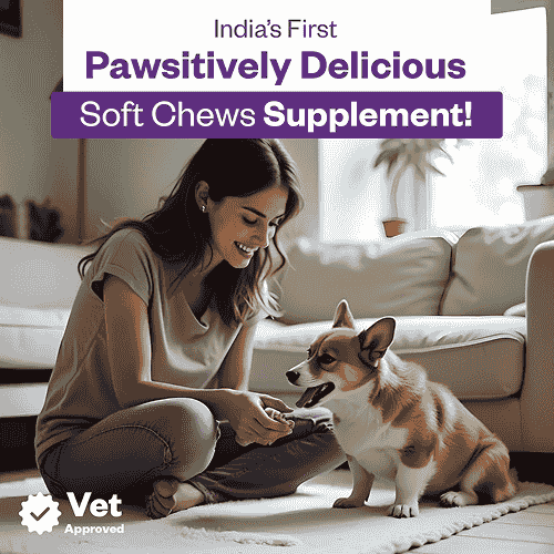 TailsAlive Skin & Coat Soft Chews Supplement for Dogs - Runbopad